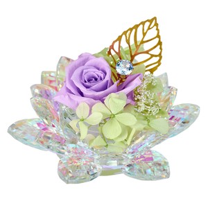 【2025年25AW新作】オーロラ蓮花（れんか）＃17オーロラパープルΦ11×H10cm1コ入ZY000404-017