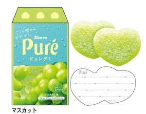 【先行受注】Pureピュレグミ　メッセージカードセット　予約〆6/22