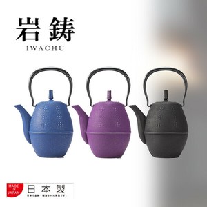 【日本製】南部鉄器　急須 らいす0.6L（ 黒/EBU/グレープ）