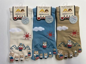 袜子 健行/远足 新商品 春夏