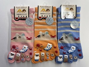 袜子 新商品 春夏