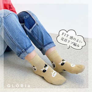 预购 短袜 北极熊 袜子 猫 秋冬新品 短款 混装组合