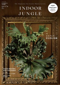 Magazine