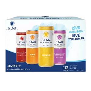 Starコンブチャ 250 ml x 12本  4種 発酵飲料 マンゴー パッションフルーツ ピーチ ザクロ
