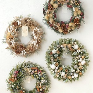 【予約販売】CMリース　Xmas ドライ【飾り】【クリスマス】【インテリア】【リース】【2025新作】