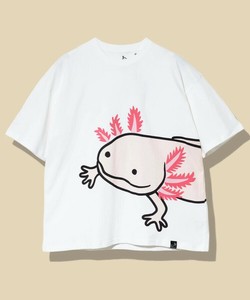 【2025SS】go slow caravan USA/C ウーパールーパー IMPACT ゆったり TEE