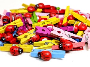 ☆写真を飾るのにピッタリ☆てんとう虫の【レッドテントウムシウッドクリップ　カラフルクリップ】