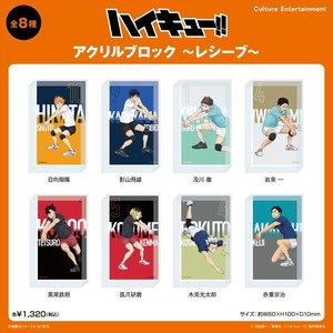 【予約品】ハイキュー!! アクリルブロック《 7/28(月) 予約〆切り》