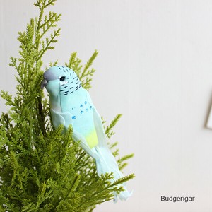 アクアセキセイインコ　【New商品】