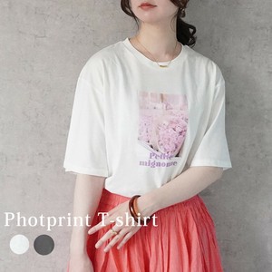 T 恤/上衣 针织衫 花朵 短袖 印花T恤 立即发货
