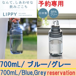 Pre-order Water Bottle Gray 700mL Made in Japan