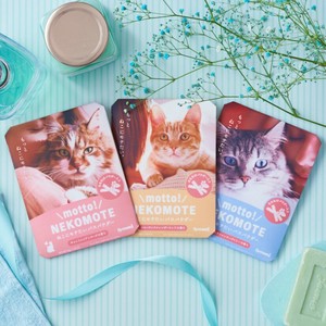 【Dreams】motto!NEKOMOTE もっと!ねこもて バスパウダー 入浴剤 ねこ