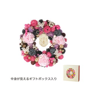【予約販売】NYジャパネスクリース　紅梅の花影