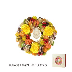 【予約販売】NYジャパネスクリース　春陽の山吹
