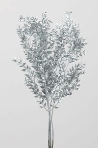 大地農園　EARTH　MATTERS　 ラスカス シルバー