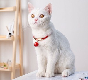 犬 猫 首輪 4色 ペット用品 鈴 リボン アクセサリー ネックレス