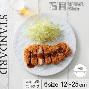 Mino ware Main Plate White Standard Made in Japan