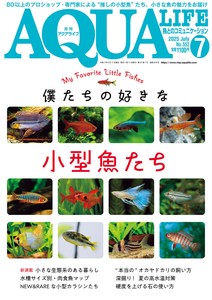 宠物/动物书籍 2025年