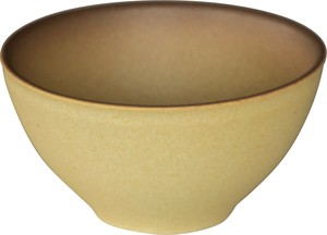 Mino ware Main Plate Made in Japan