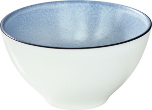 Mino ware Main Plate Made in Japan