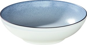 Mino ware Main Plate Made in Japan