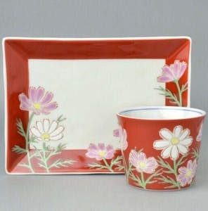 Kutani ware Cup & Saucer Set