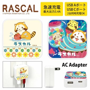 ラスカル　USB/USB Type-C ACアダプタ