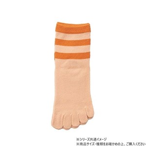 神戸生絲　シルク婦人5本指ソックス/ボーダー柄22-24cm  3290  オレンジ
