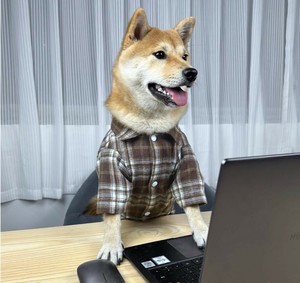 服  犬用 シャツ ペット用品  LX2411