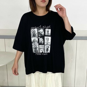 即納【2025新作】DOG転写BIGTシャツ　半袖　プルオーバー　チュニック　ボーダー　アニマル　犬　ロゴ