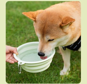 ボウル 折りたたみ 犬用    WCMA079