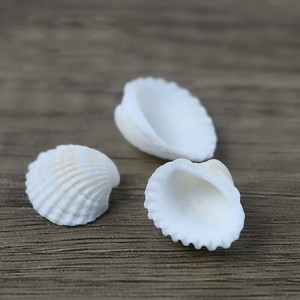 貝殻 手作りアクセサリー材料 DIYキット 置物  DYLB613