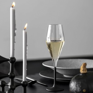 「Villeroy & Boch ( ビレロイ&ボッホ )」ロック シャンパングラス 2脚セット 【国内正規品】