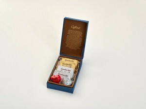 【予約11月上旬出荷開始】レガロ・ブルー【カファレル】【チョコレート】