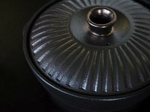 Pot IH Compatible 8-go