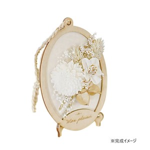 ソラージュ オーバル壁掛け ソラキット アナスタシア アロマ企画 36Z103T0001