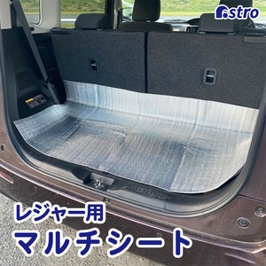 Car Item