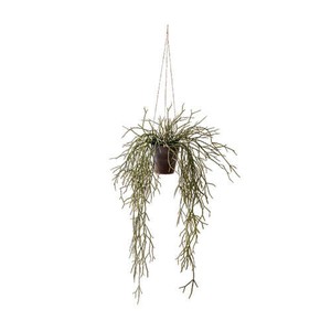 Artificial Plant