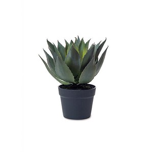 Artificial Plant