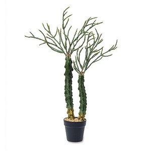 Artificial Plant