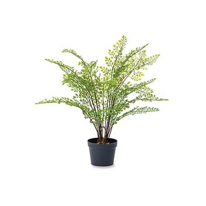 Artificial Plant