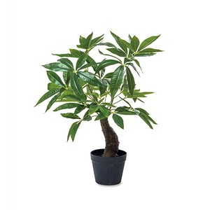 Artificial Plant