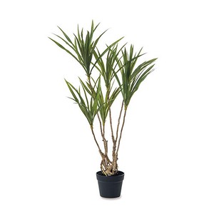 Artificial Plant
