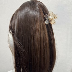 Clip Flowers Set of 2