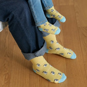 Pre-order Kids' Socks Penguin Socks [A/W NEW]