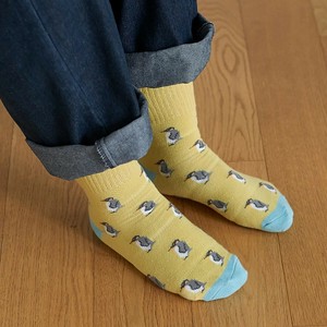Pre-order Kids' Socks Penguin Socks [A/W NEW]
