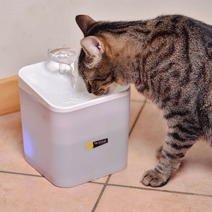 宠物饮水机