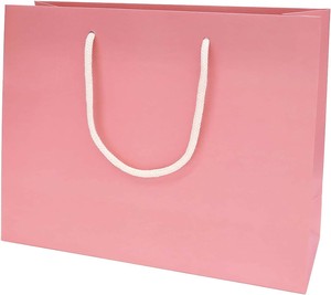 General Carrier Paper Bag Carry Bag Indigo