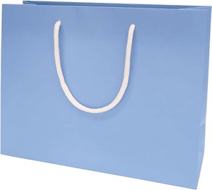 General Carrier Paper Bag Carry Bag Indigo