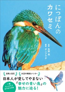 にっぽんのカワセミ